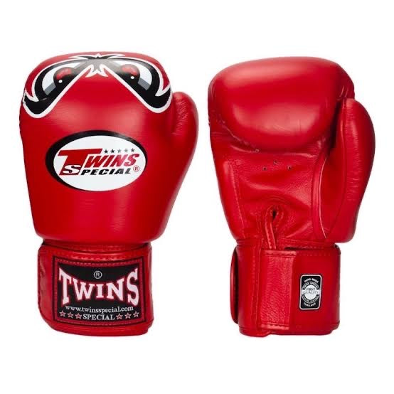 Twins Fancy Boxing Gloves