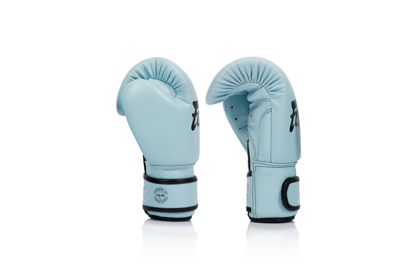 FAIRTEX - Boxing Gloves (BGV20) - Light Blue