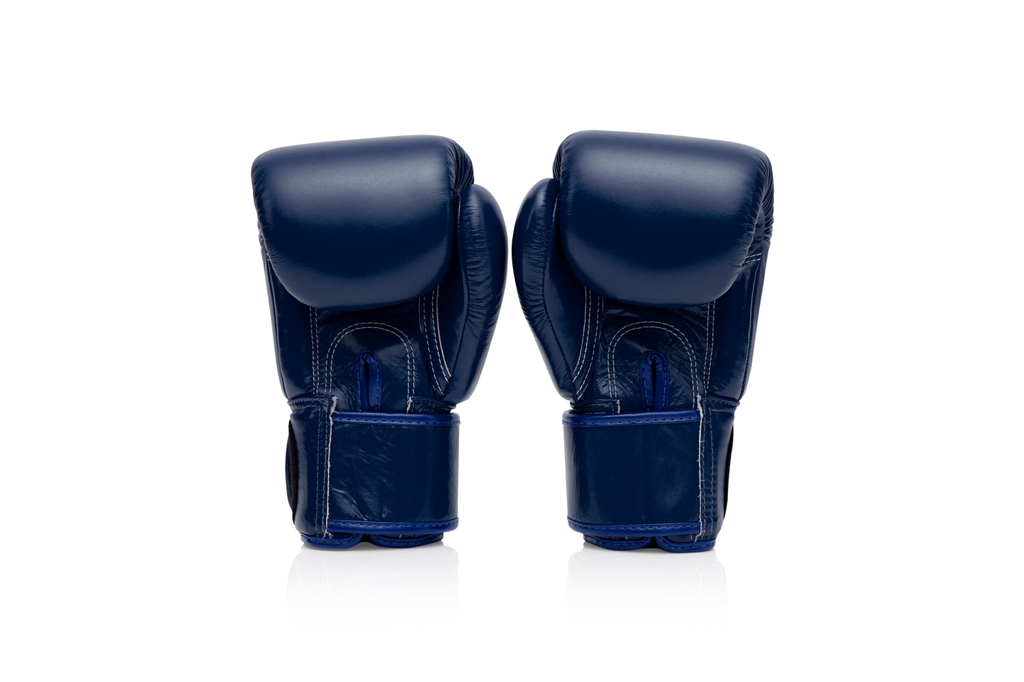FAIRTEX - Boxing Gloves (BGV1) - Blue