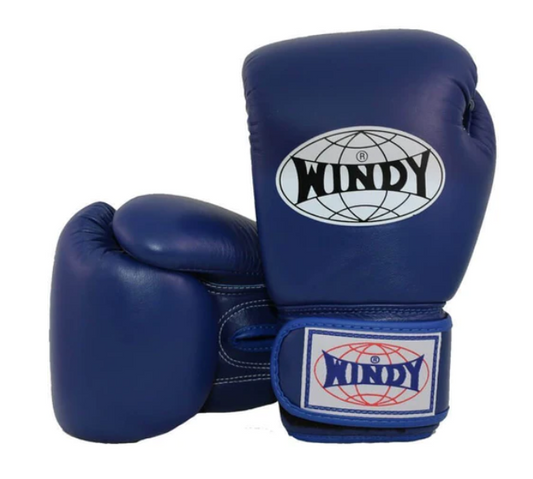 Windy Boxing Gloves Blue