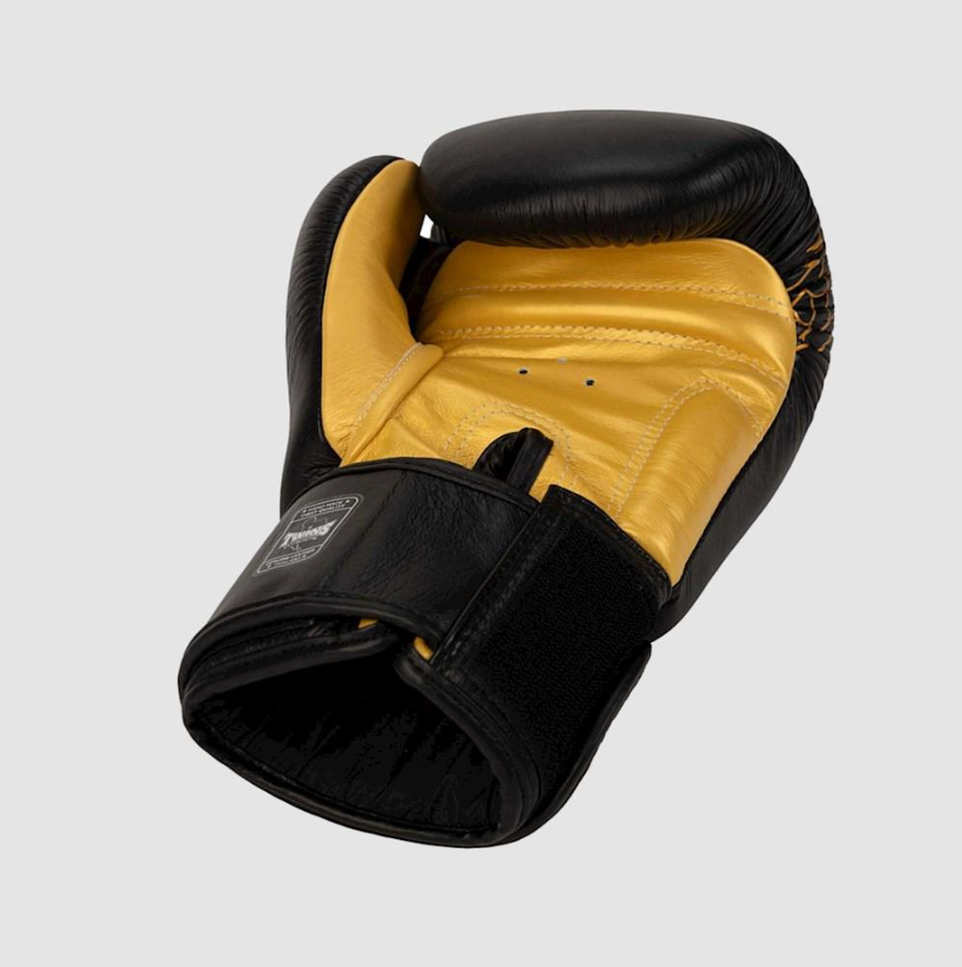 Twins Fancy Boxing Gloves B&G Dragon
