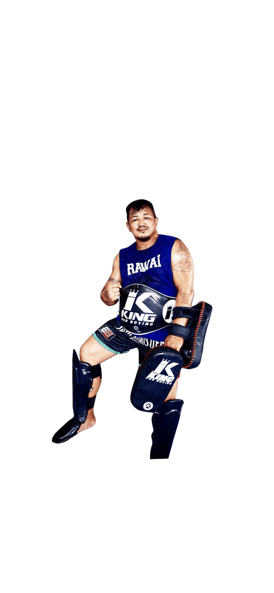 King Pro Kicking Pads Trainer Gae 2 strap