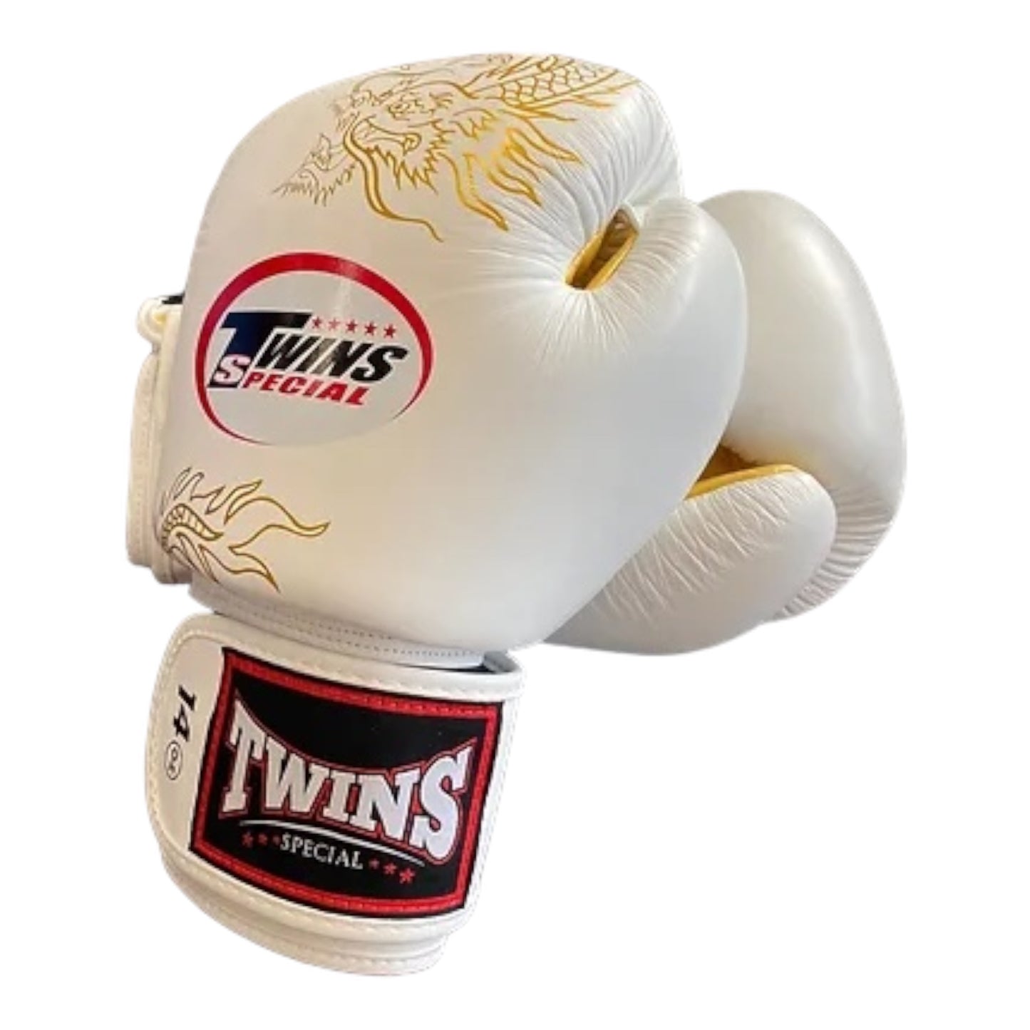 Twins Fancy Boxing Gloves W&G Dragon