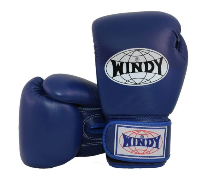 Windy Boxing Gloves Blue Cabra Fight Store