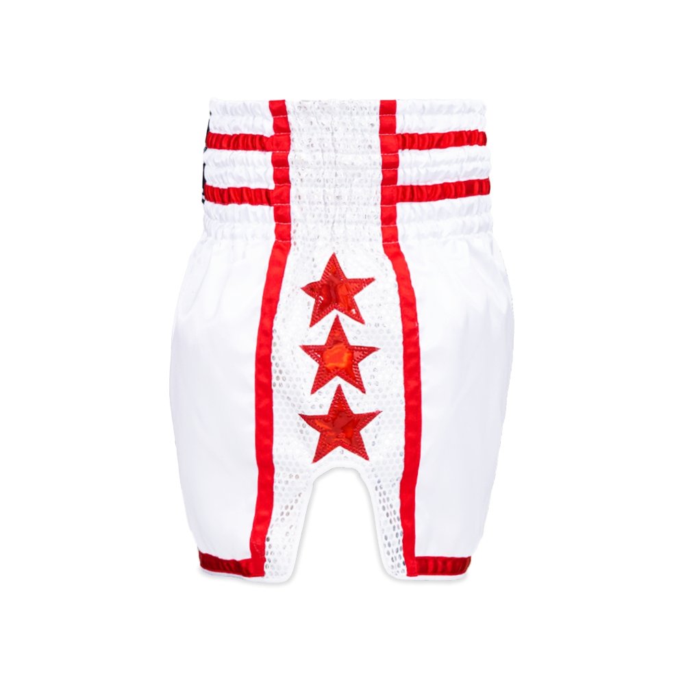 Top King White Thai Boxing Shorts 239 – Authentic Muay Thai fight shorts in white and red design - side 
